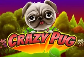 Crazy Pug